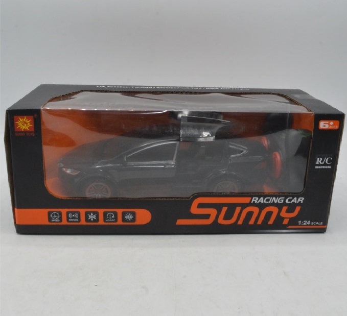 RC Sunny Racing Car